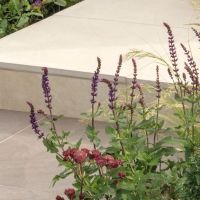 Fortuna Cream 600x600mm Porcelain Paving Slab