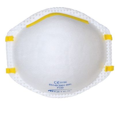 Dust Mask - 3 Pack