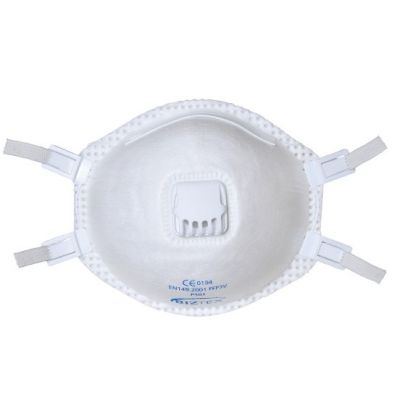 Respirator Valved Type Disposable Dust Mask x10