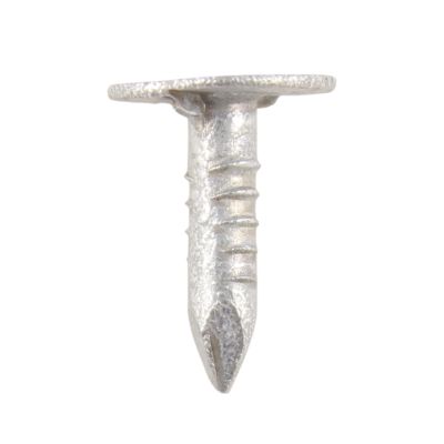 Galvanised ELH Clout Nails - 0.5KG