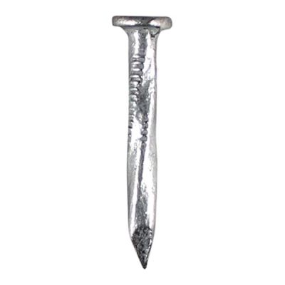 Galvanised Square Twist Nail 2.5kg