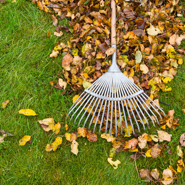 10 Essential Home Maintenance Jobs Before Winter Arrives